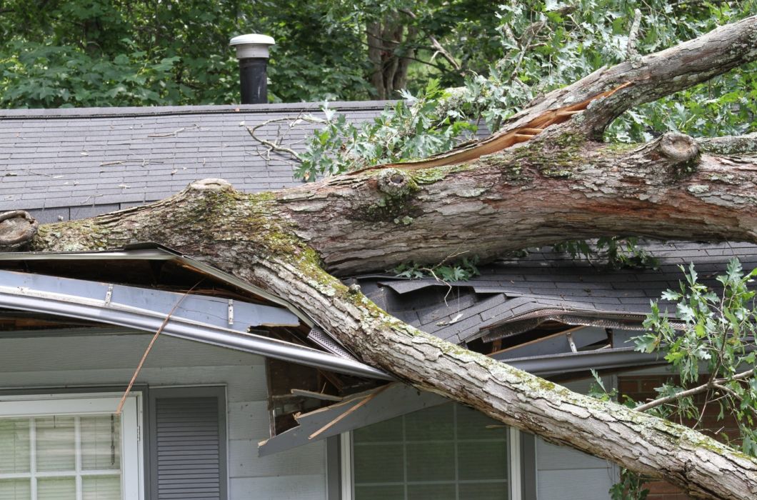 Wat doen als boom op huis valt